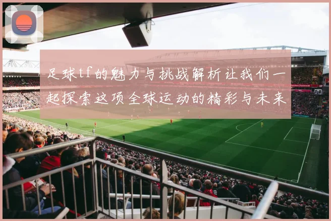 足球tf的魅力与挑战解析让我们一起探索这项全球运动的精彩与未来