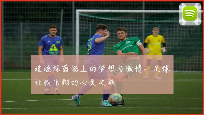 追逐绿茵场上的梦想与激情，足球让我飞翔的心灵之旅