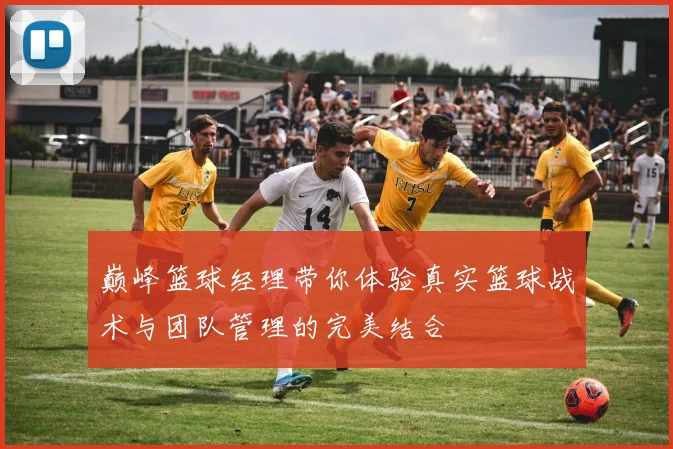 巅峰篮球经理带你体验真实篮球战术与团队管理的完美结合
